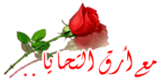 محمد رشدي 603204